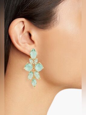 Nordstrom Rack Tasha Crystal Flower
Drop Earring